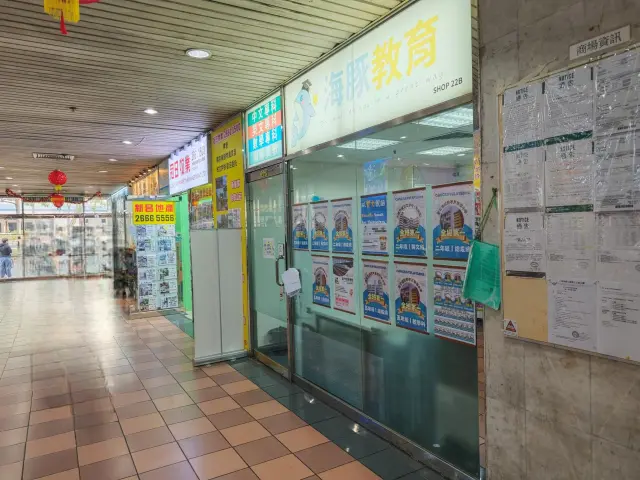 海豚教育